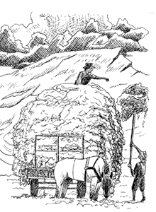 16.gif (47197 字节)