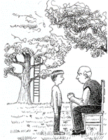 33.gif (21142 字节)