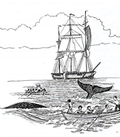 36.gif (19654 字节)