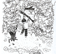 42.gif (27750 字节)