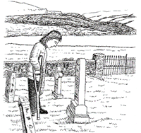 51.gif (21968 字节)